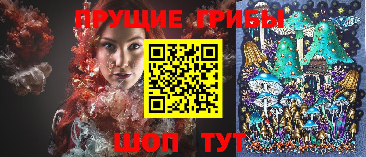 Галлюциногенные грибы мицелий Новороссийск