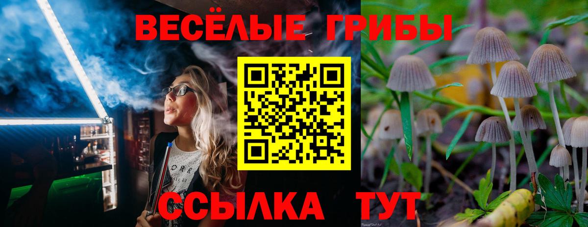 Новороссийск  Псилоцибиновые грибы ЛСД  Вход с VPN 